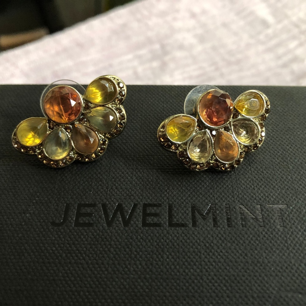 Jewelmint Flabella Earrings